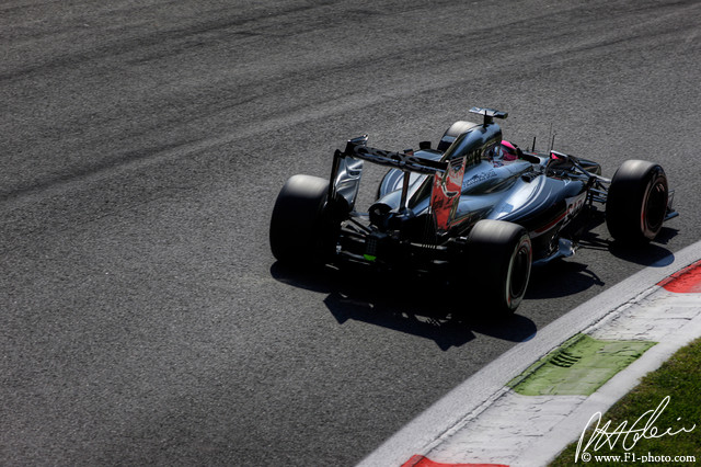 Magnussen_2014_Italy_04_PHC.jpg